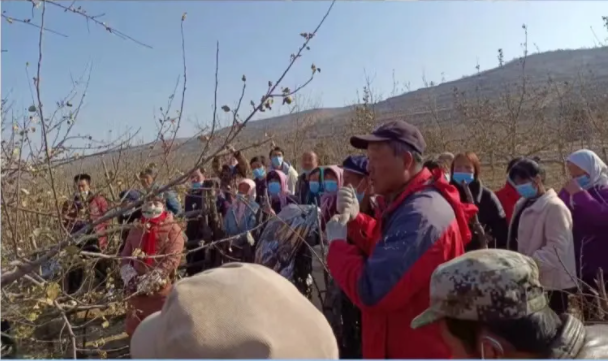 市產(chǎn)投集團在靜寧幫扶村開展冬季果園管理培訓(圖2) 市產(chǎn)投集團在靜寧幫扶村開展冬季果園管理培訓(圖2)